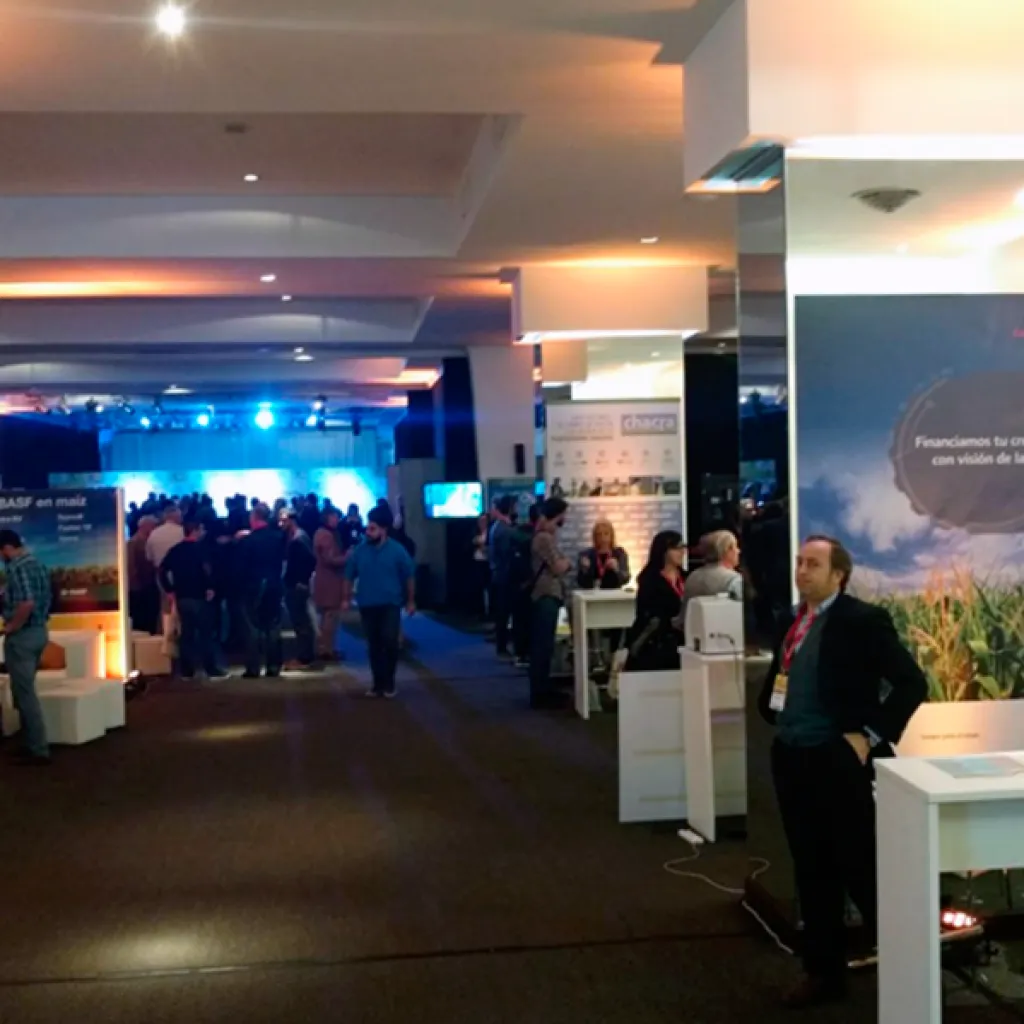 imgi_23_maizar-1-1024x1024