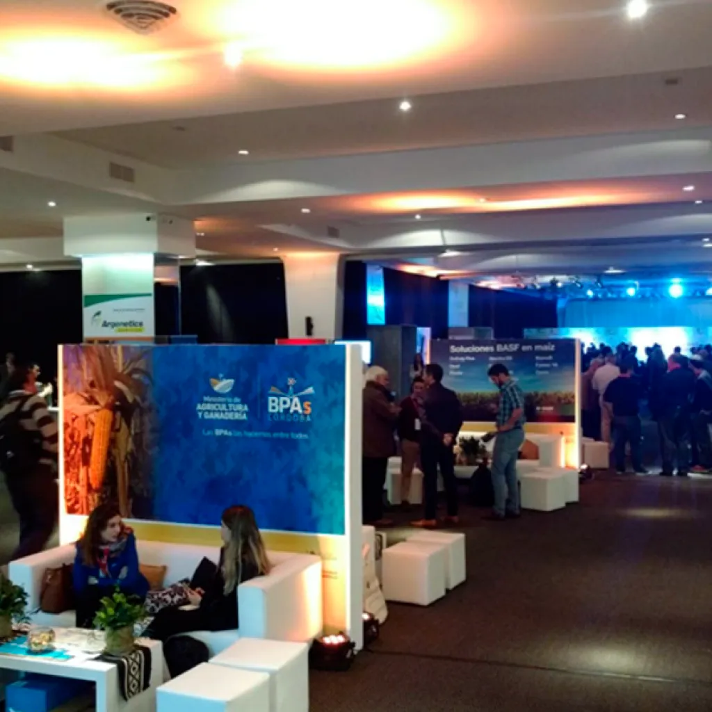 imgi_24_maizar-3-1024x1024