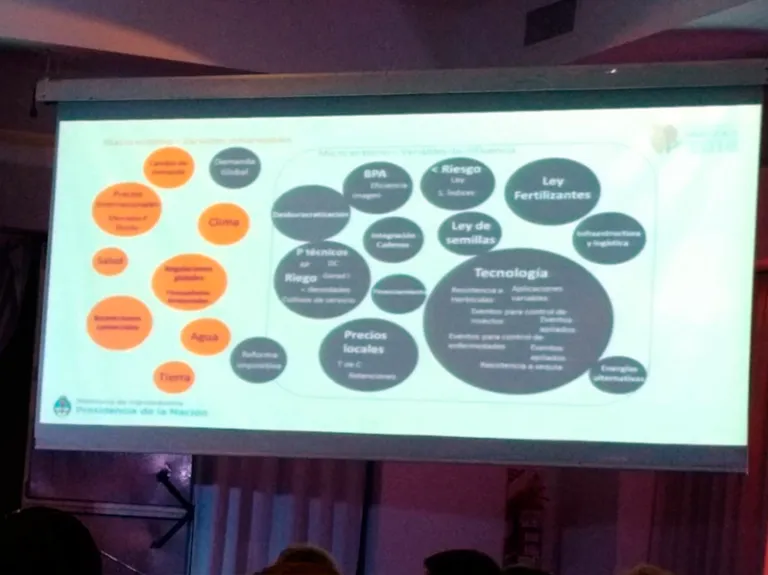 imgi_83_maizar-6-768x575